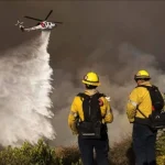 Kebakaran Hutan di Los Angeles: Lebih dari 500 Hektar Lahan Terbakar dalam Waktu Singkat