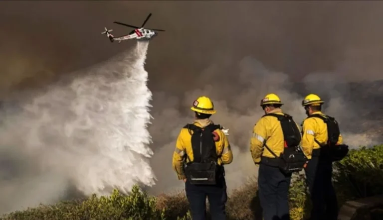 Kebakaran Hutan di Los Angeles: Lebih dari 500 Hektar Lahan Terbakar dalam Waktu Singkat