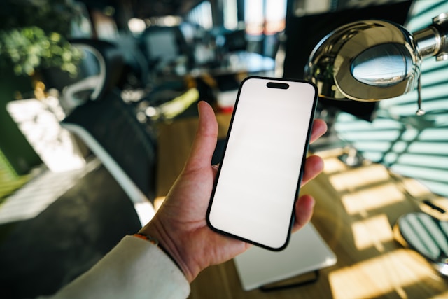 Peluang bisnis rental ponsel