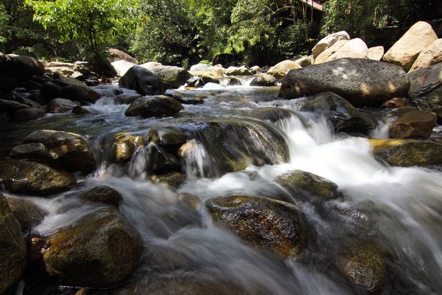 arus sungai