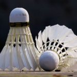 peluang bisnis pabrik shuttlecock