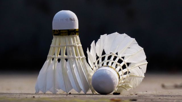 peluang bisnis pabrik shuttlecock